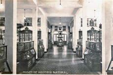 Museo-de-Historia-Natural1
